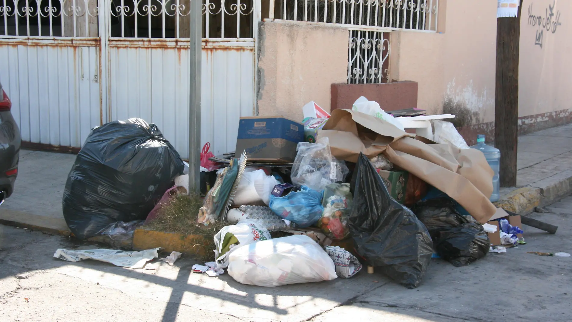 BASURA F D L VEGA  (2)